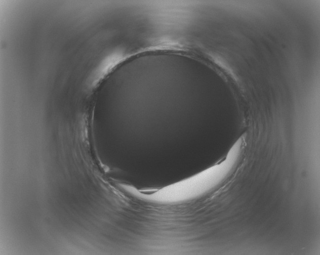 X0000078031455200611101900