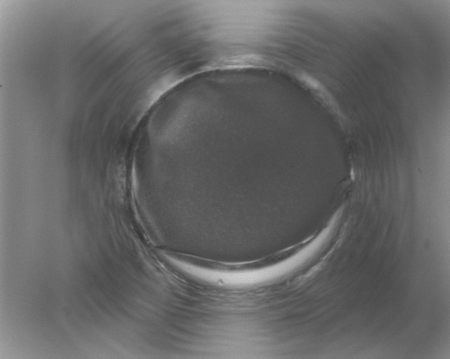 X0000078031457200611101900