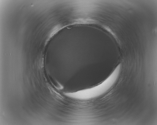X0000078031459200611101900
