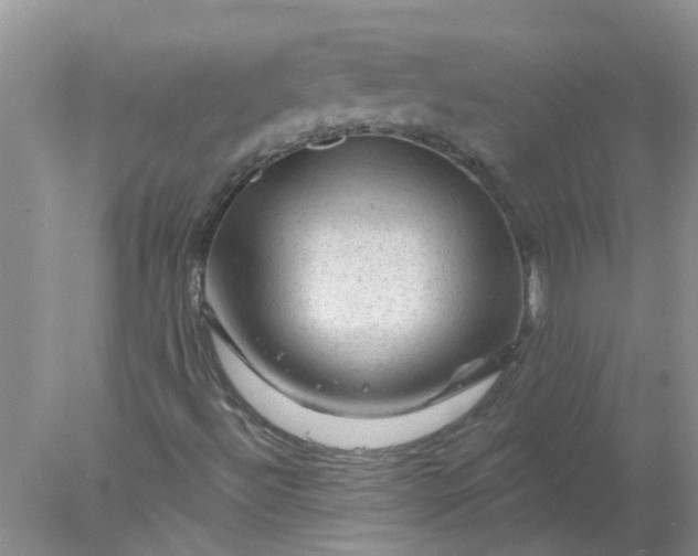 X0000078031492200611101859