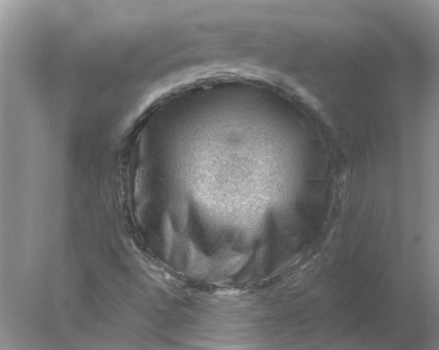X0000078031496200611101859