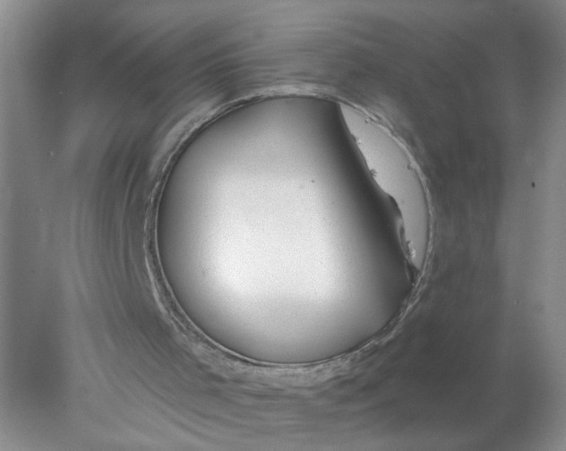 X0000078030001200611171951