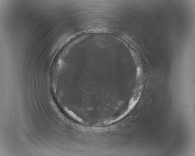 X0000078030002200611171951