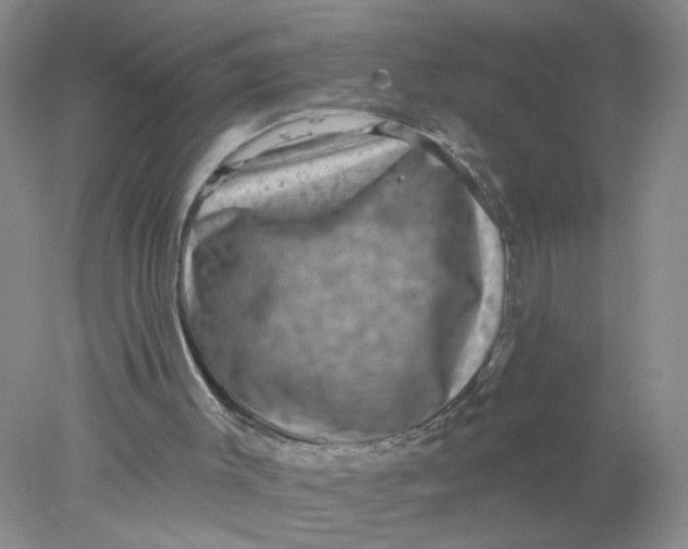 X0000078030003200611171951