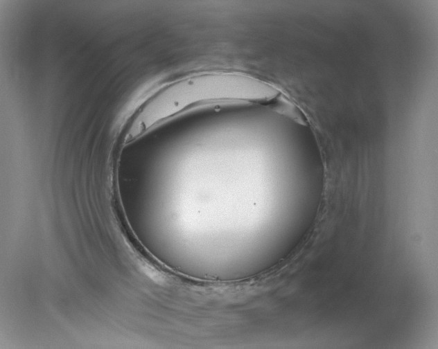 X0000078030005200611171951