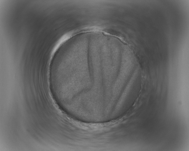 X0000078030006200611171951