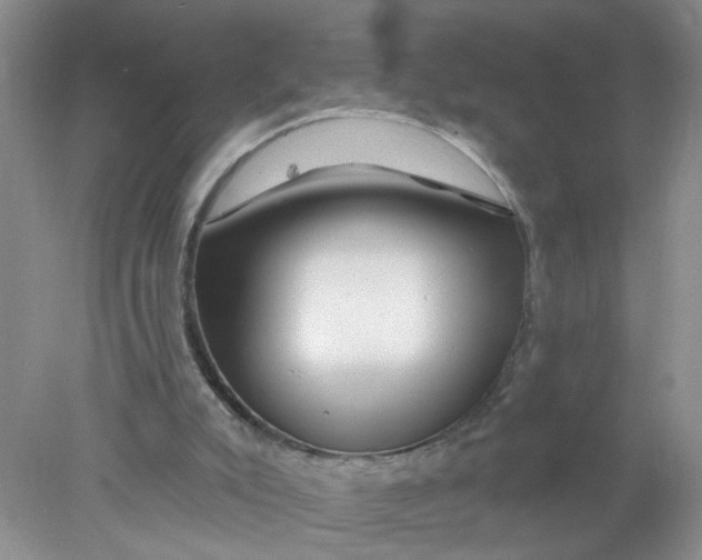 X0000078030007200611171951