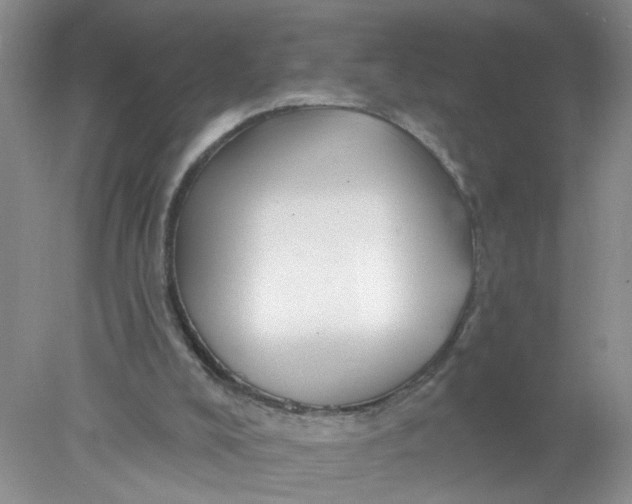 X0000078030008200611171951