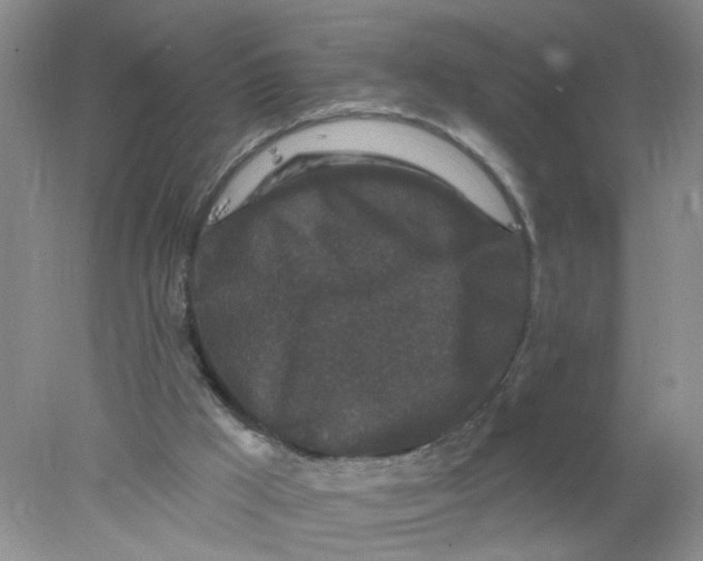 X0000078030009200611171951