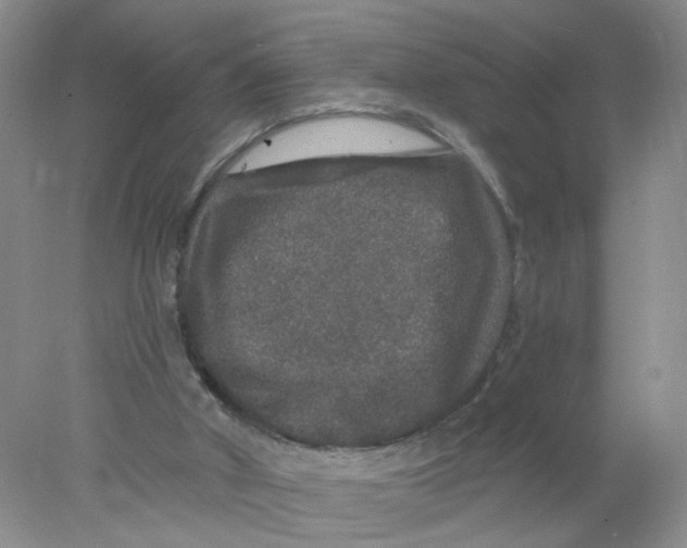 X0000078030010200611171951