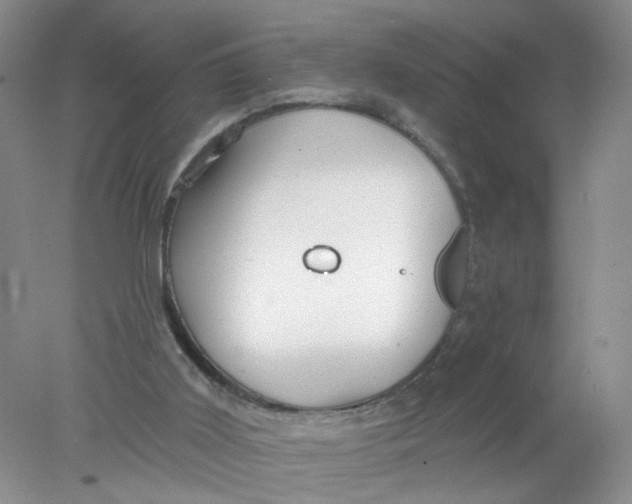 X0000078030011200611171951