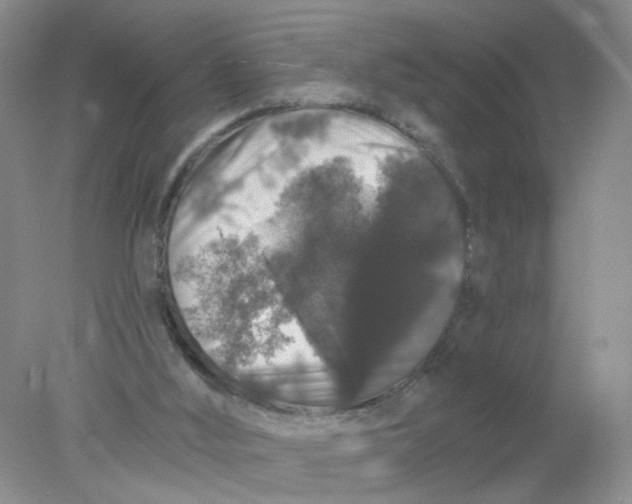 X0000078030012200611171951