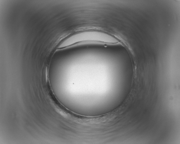 X0000078030013200611171951