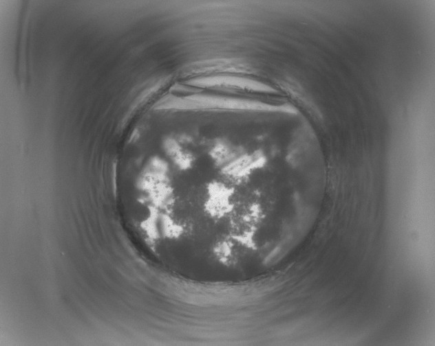 X0000078030014200611171950