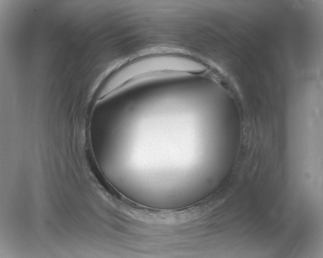 X0000078030015200611171950