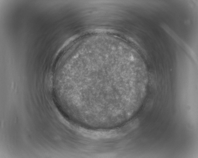 X0000078030016200611171950