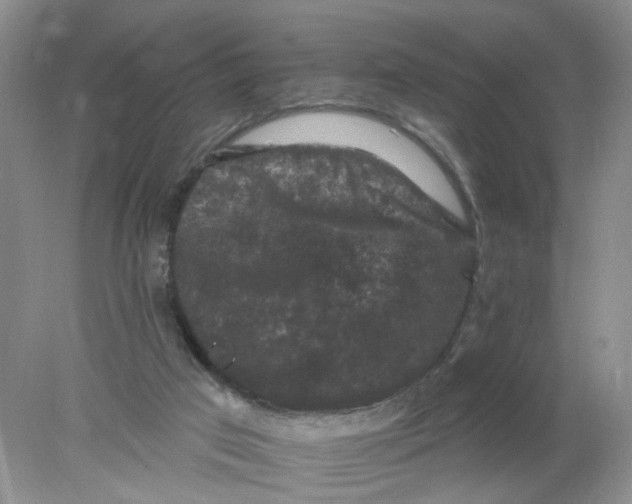 X0000078030017200611171950