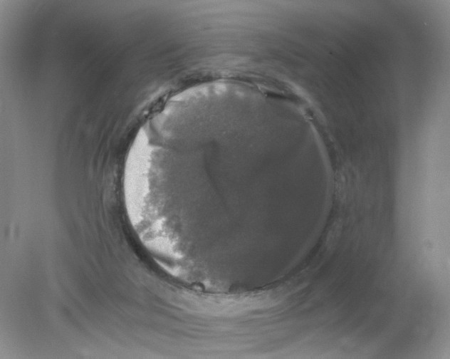 X0000078030018200611171950