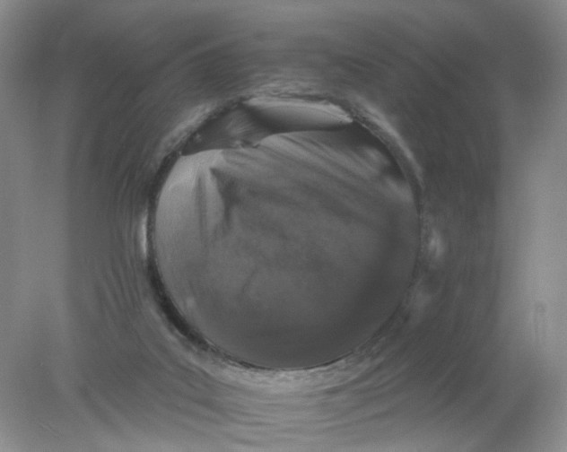 X0000078030019200611171950