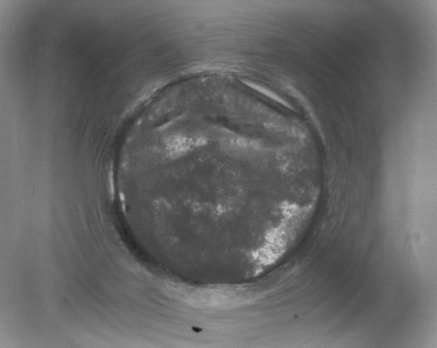 X0000078030020200611171950