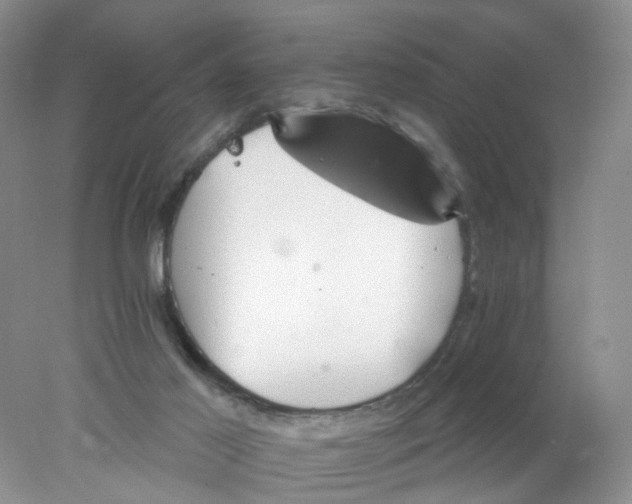 X0000078030021200611171950