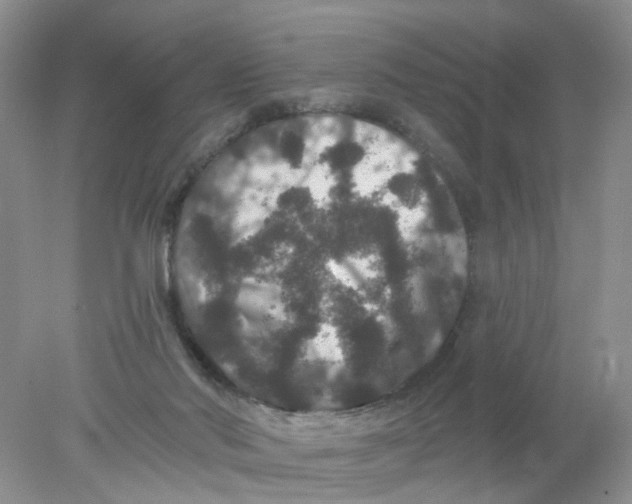 X0000078030022200611171950