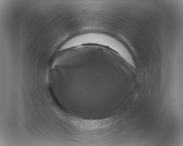 X0000078030023200611171950