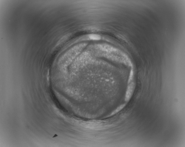 X0000078030024200611171950