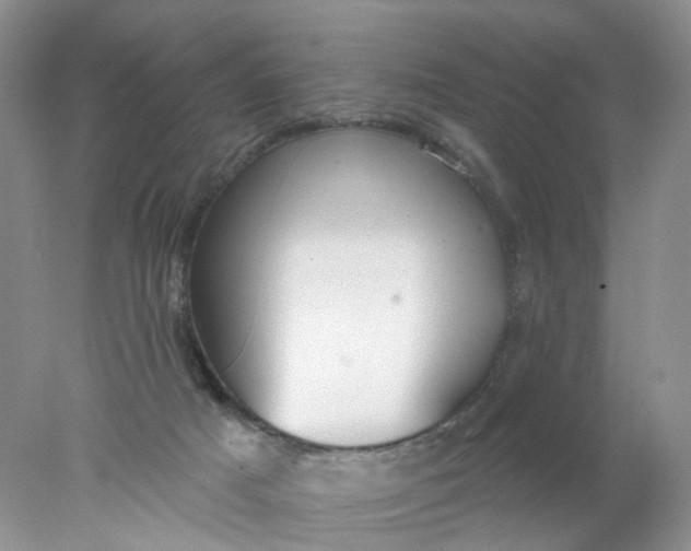 X0000078030025200611171950