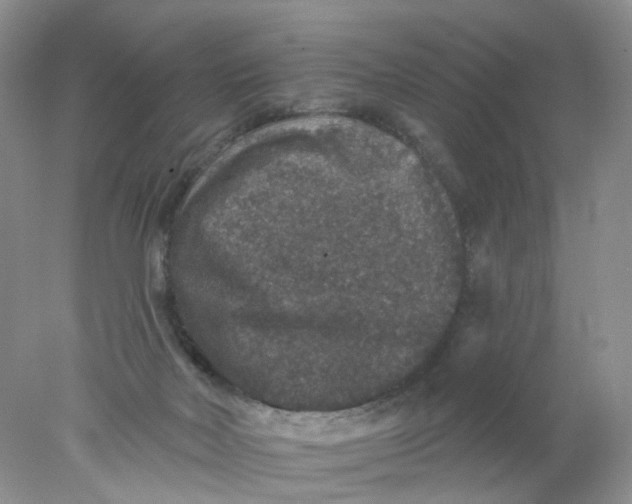 X0000078030026200611171950