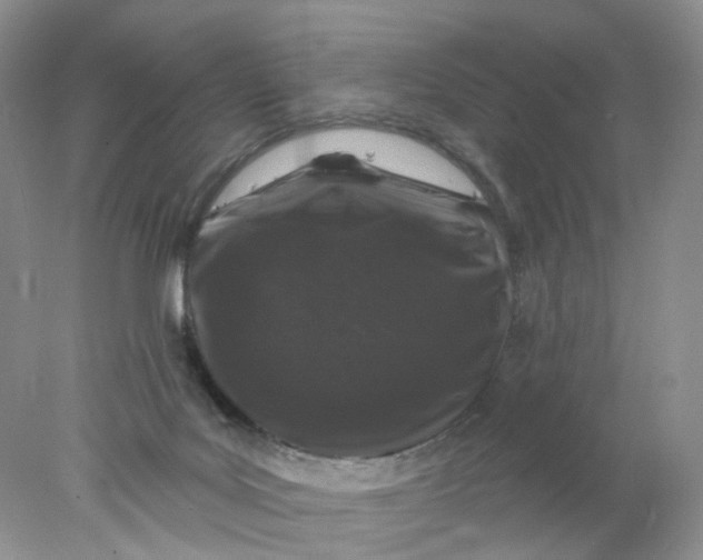 X0000078030027200611171950