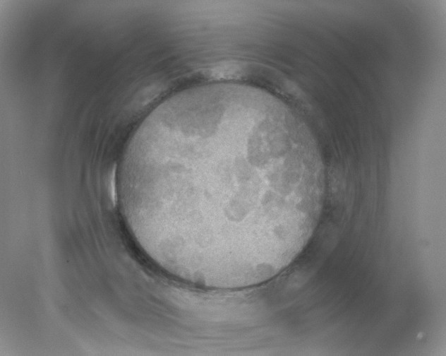 X0000078030028200611171950