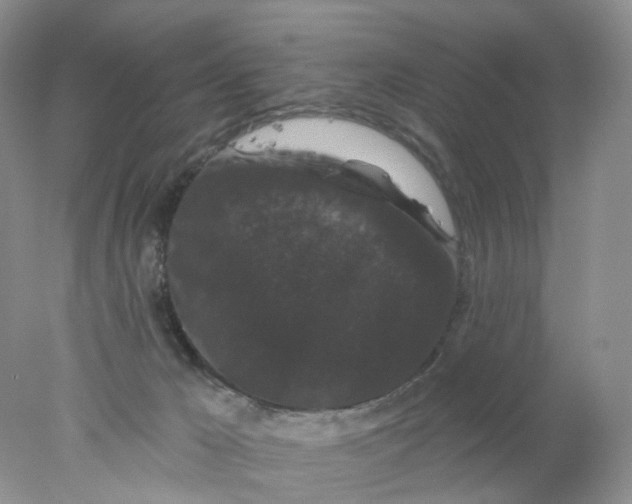 X0000078030029200611171950