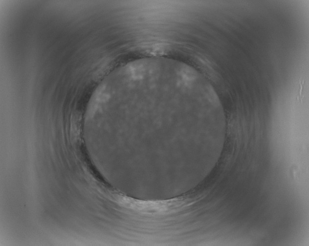 X0000078030030200611171950