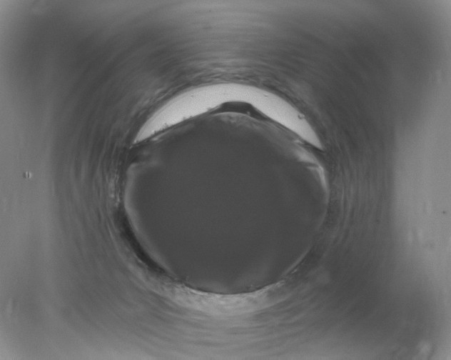 X0000078030031200611171950