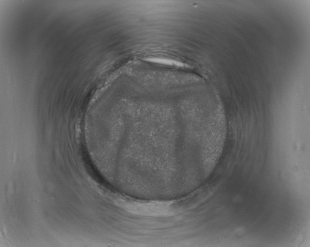 X0000078030032200611171950