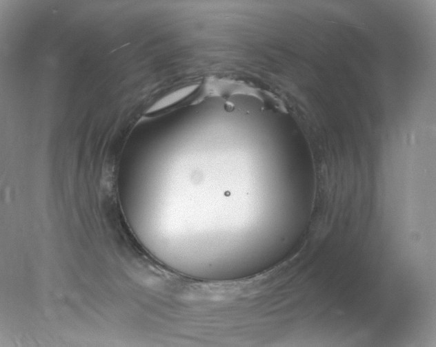 X0000078030033200611171950