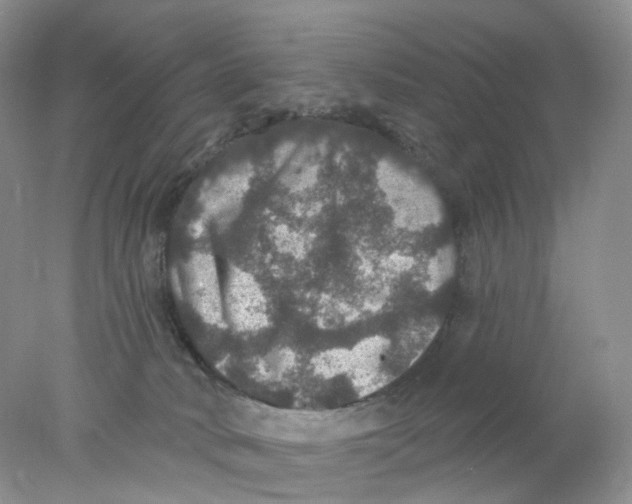 X0000078030034200611171950