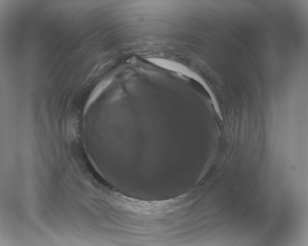 X0000078030035200611171950