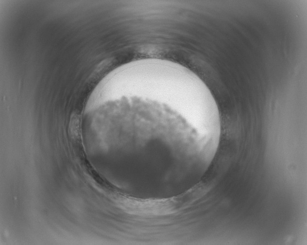 X0000078030036200611171950