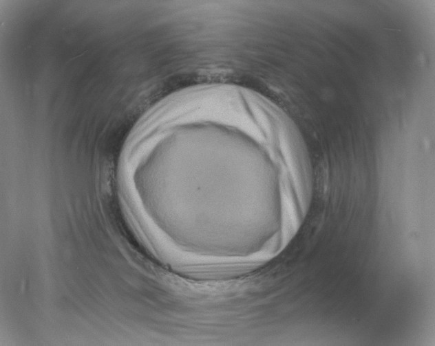 X0000078030038200611171950