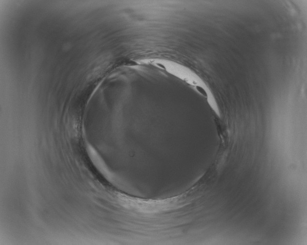 X0000078030039200611171950