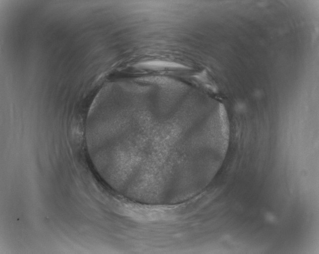 X0000078030040200611171950