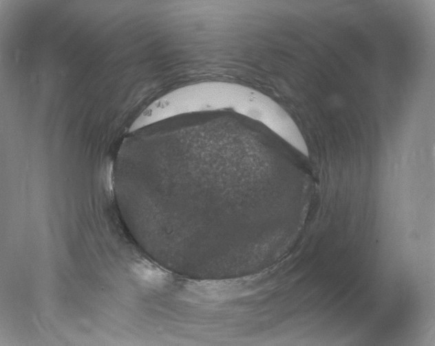 X0000078030041200611171950