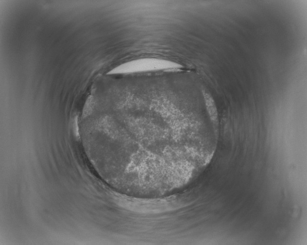 X0000078030042200611171950