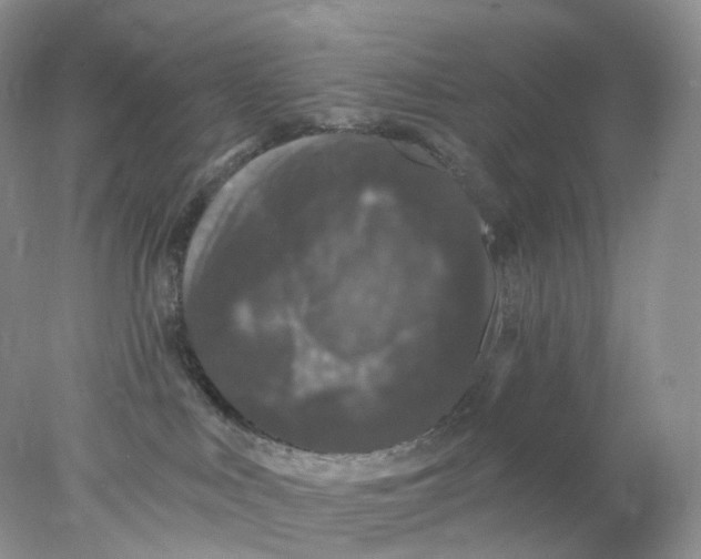 X0000078030043200611171950