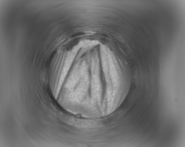 X0000078030044200611171950