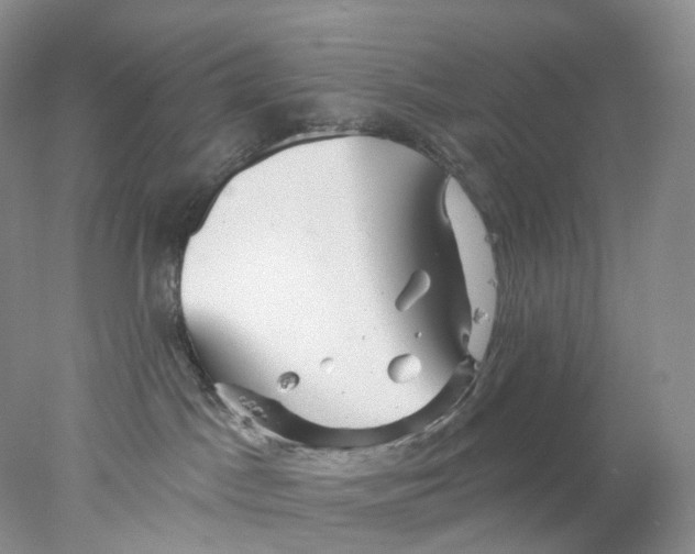 X0000078030045200611171950