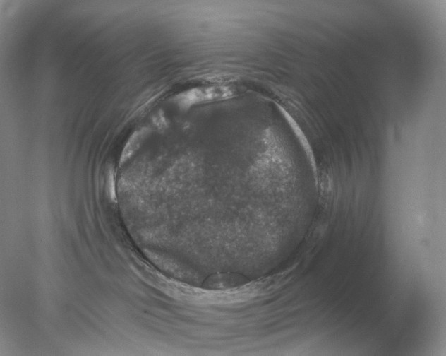 X0000078030046200611171950