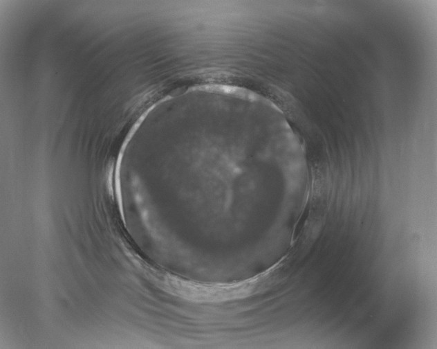 X0000078030047200611171950